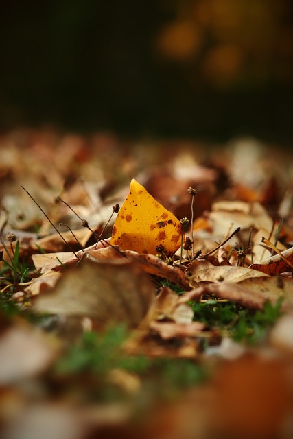 不僅點燃了 不僅點燃了