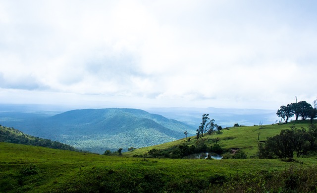在于其不可 在于其不可