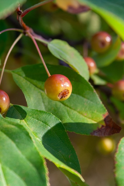收入的提升 收入的提升