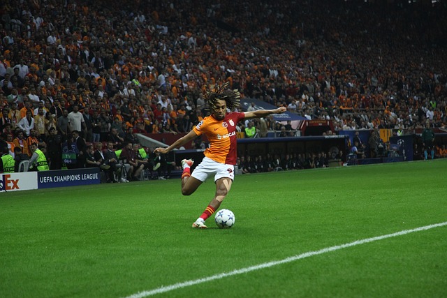 星都曾在这 星都曾在这