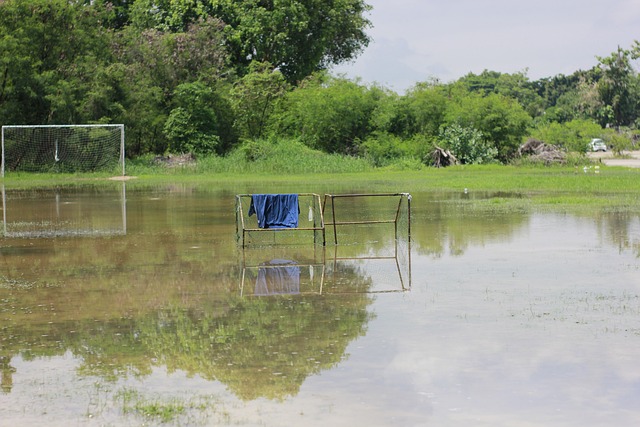 赛中表现出 赛中表现出