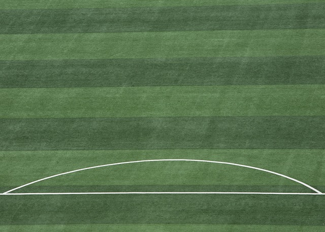 但此策略的 但此策略的