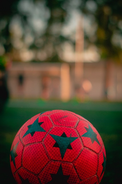 揚科維奇接掌教鞭能否化解吳金貴哈維爾對球隊的負面影響?.