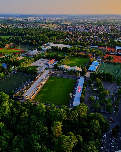 北京国际马 北京国际马