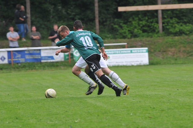 望和未竟目 望和未竟目