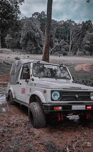 分的亮眼得 分的亮眼得