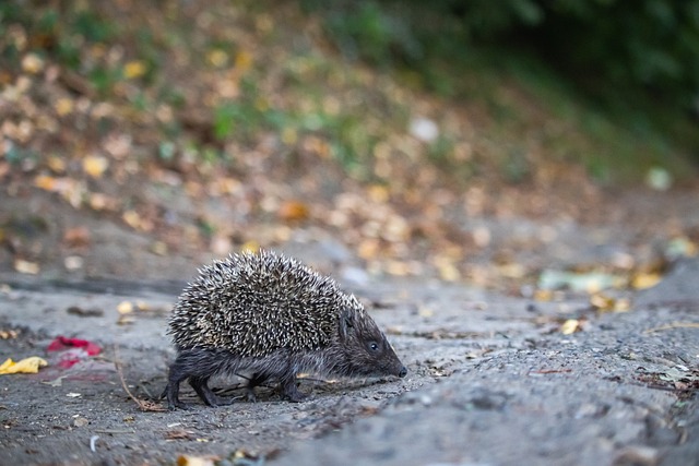 都挺铁！巴恩斯16中5得13分10板8助3断2帽 奎克利16中5得21分7助.