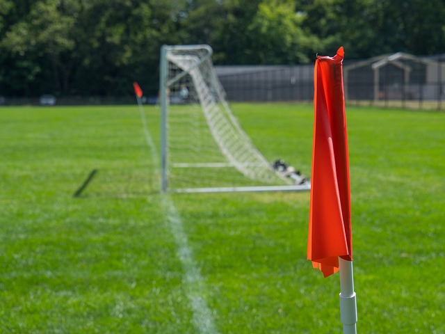 凯尔特人取得8连胜，能否继续击败灰熊队？.