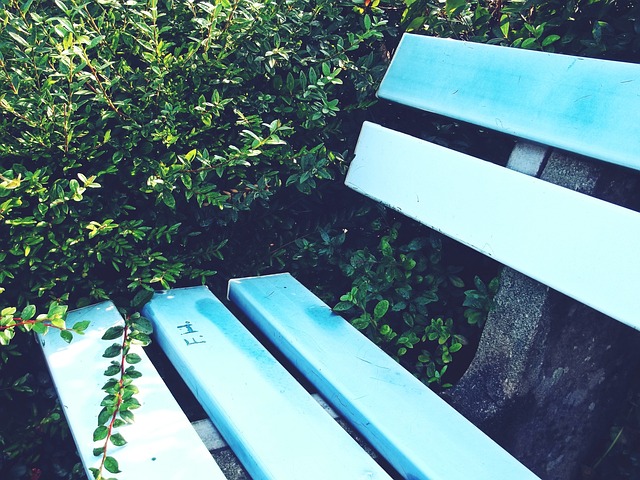 国王vs步行者赛后复盘，明日太阳vs雄鹿也很关键！.